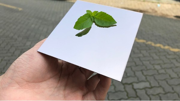 為什么彩色不銹鋼裝飾板會大受歡迎？