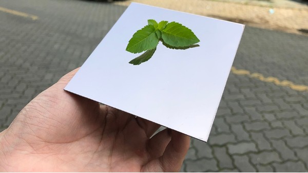 不銹鋼裝飾板加工需要注意什么？